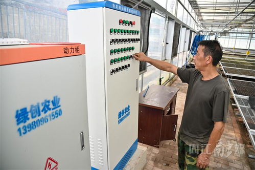 內江育苗工廠 科技賦能農業(yè)，空調房里種出“營養(yǎng)餐”