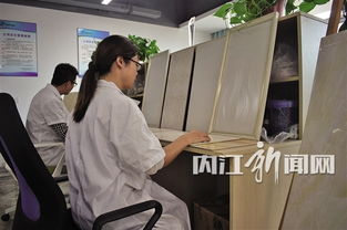 科技孵化 內江企業創新發展的強勁引擎